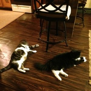 Meet your Posher, Laura